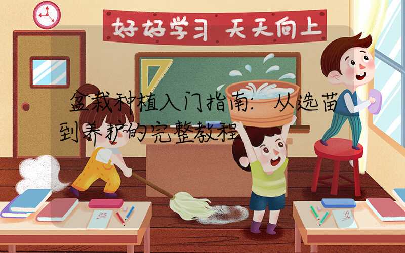 盆栽种植入门指南:从选苗到养护的完整教程