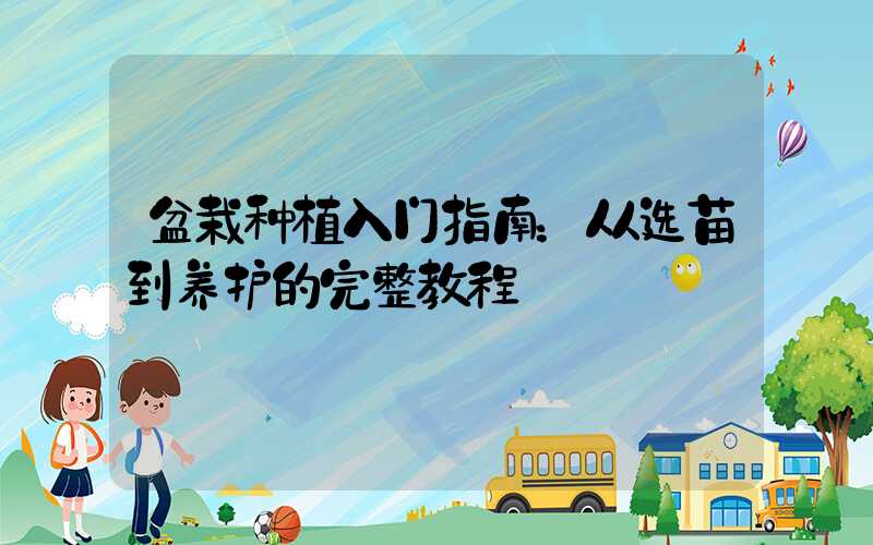 盆栽种植入门指南：从选苗到养护的完整教程