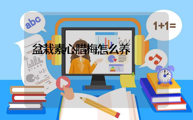 盆栽素心腊梅怎么养