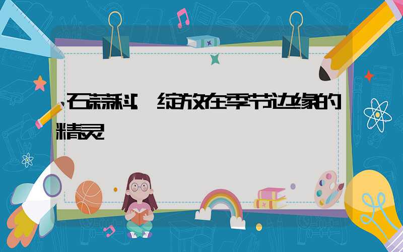 石蒜科:绽放在季节边缘的精灵