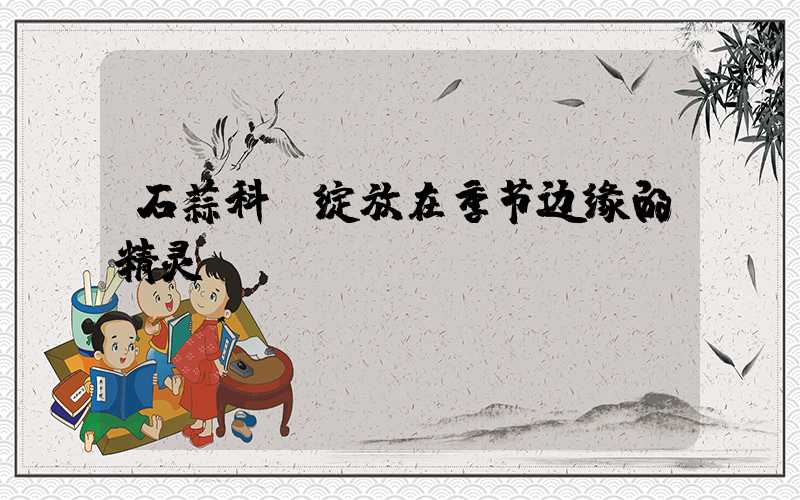 石蒜科：绽放在季节边缘的精灵