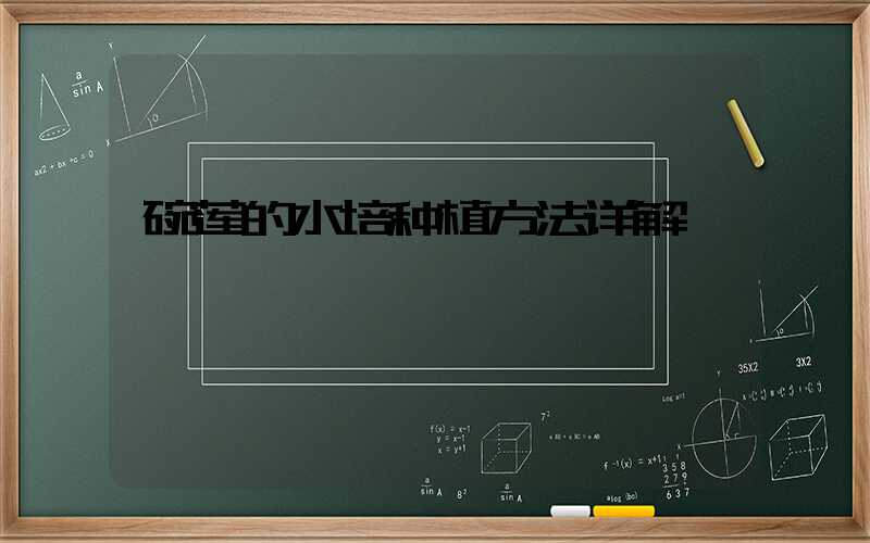 碗莲的水培种植方法详解
