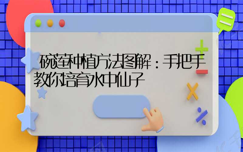 碗莲种植方法图解：手把手教你培育水中仙子