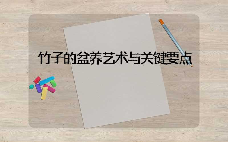 竹子的盆养艺术与关键要点