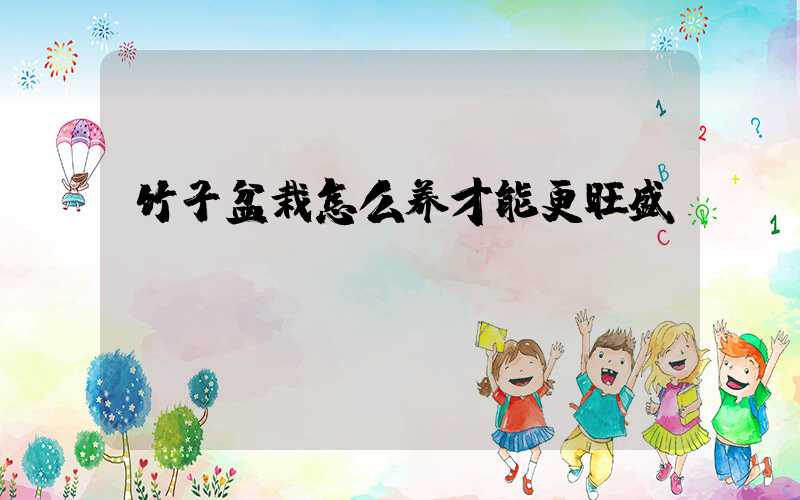 竹子盆栽怎么养才能更旺盛