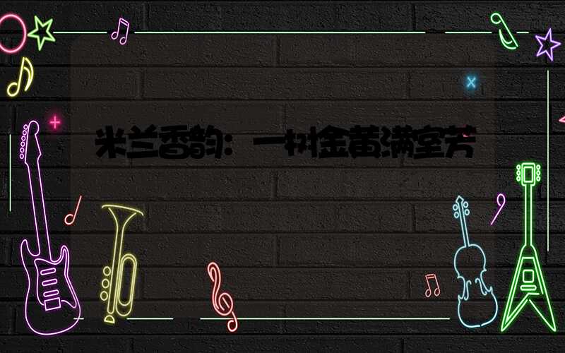 米兰香韵：一树金黄满室芳