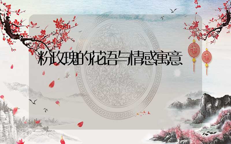 粉玫瑰的花语与情感寓意