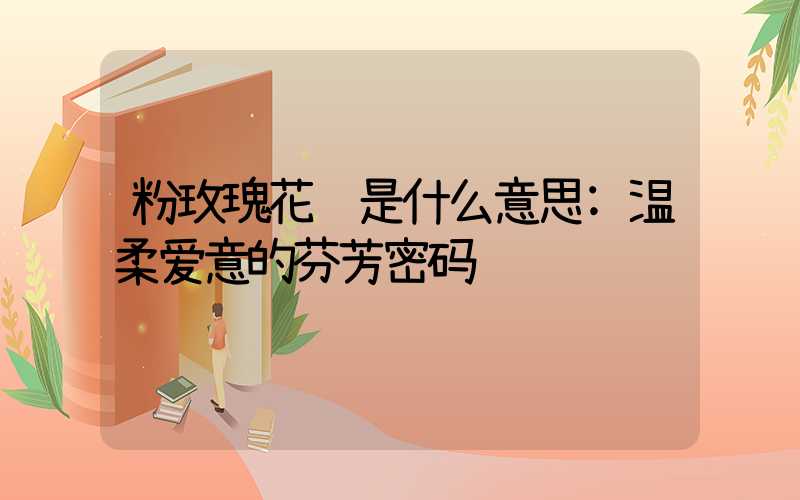 粉玫瑰花语是什么意思:温柔爱意的芬芳密码