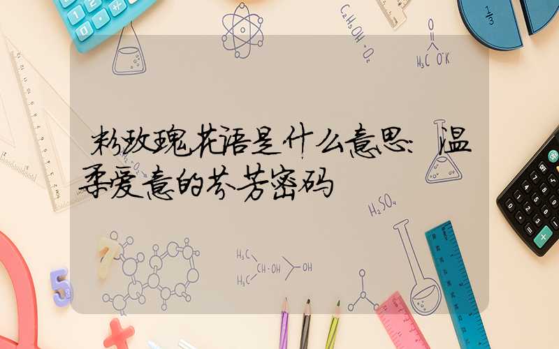 粉玫瑰花语是什么意思：温柔爱意的芬芳密码