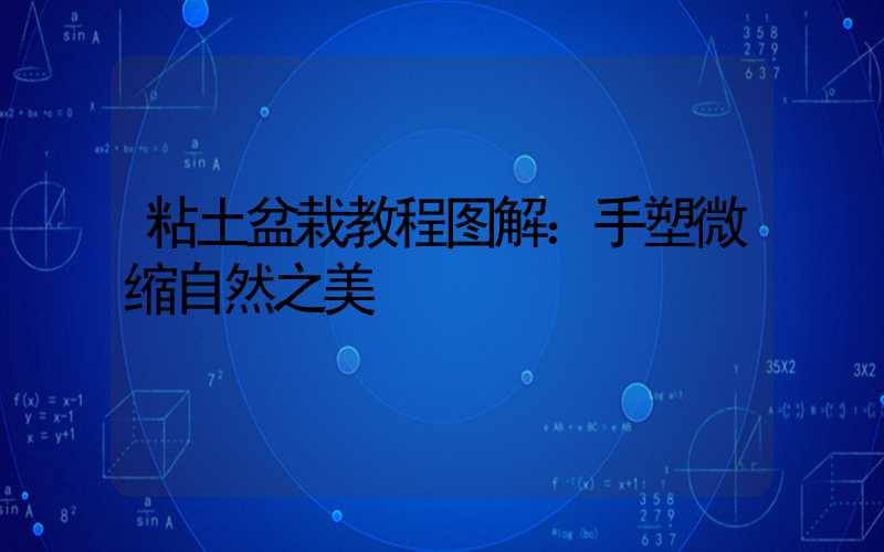 粘土盆栽教程图解：手塑微缩自然之美