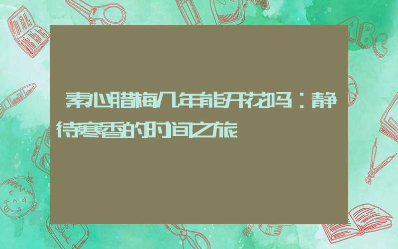 素心腊梅几年能开花吗：静待寒香的时间之旅