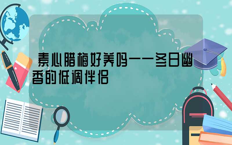 素心腊梅好养吗——冬日幽香的低调伴侣