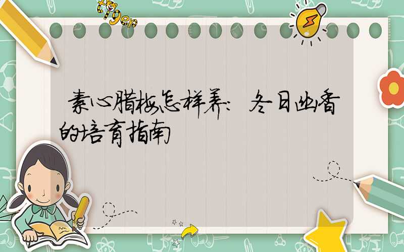 素心腊梅怎样养:冬日幽香的培育指南