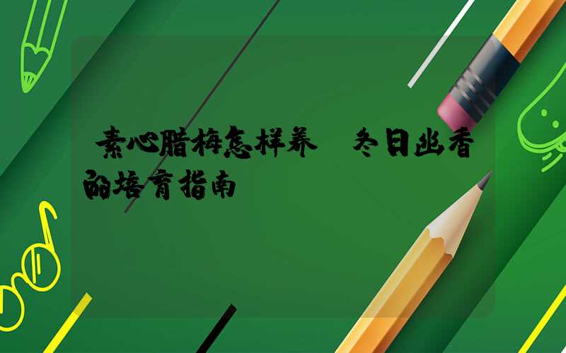 素心腊梅怎样养：冬日幽香的培育指南