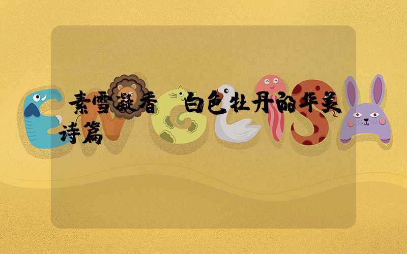 素雪凝香:白色牡丹的华美诗篇