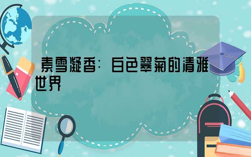 素雪凝香:白色翠菊的清雅世界