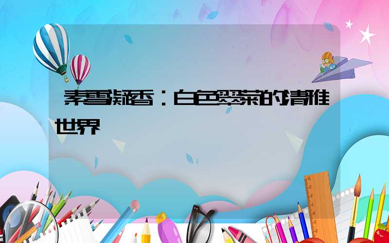 素雪凝香：白色翠菊的清雅世界