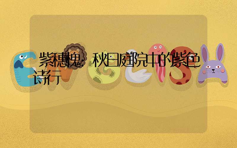 紫穗槐:秋日庭院中的紫色诗行