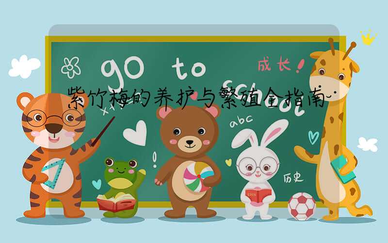 紫竹梅的养护与繁殖全指南