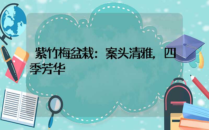 紫竹梅盆栽：案头清雅，四季芳华