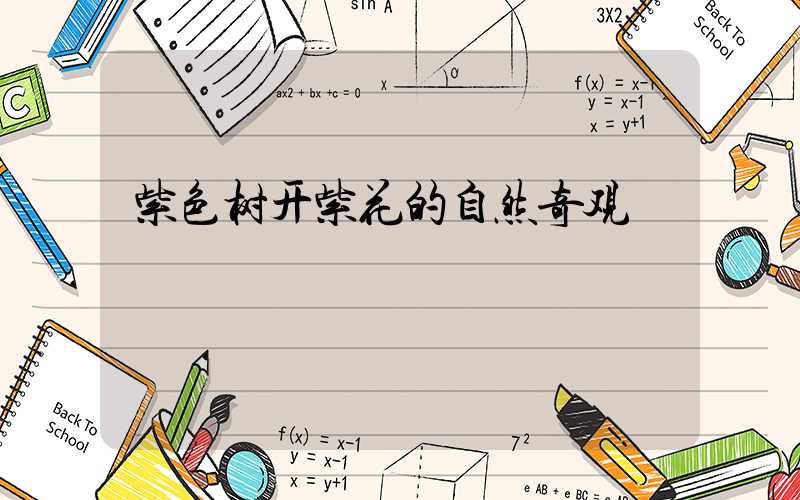 紫色树开紫花的自然奇观