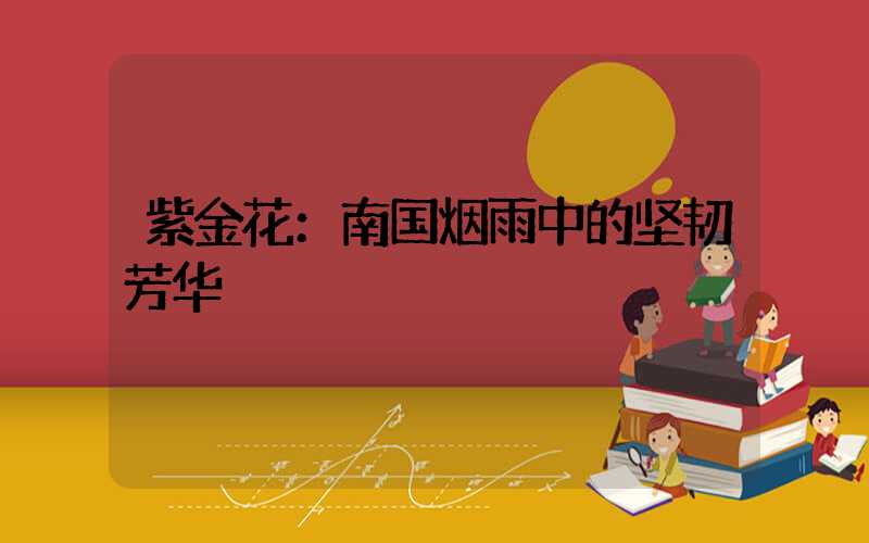 紫金花：南国烟雨中的坚韧芳华