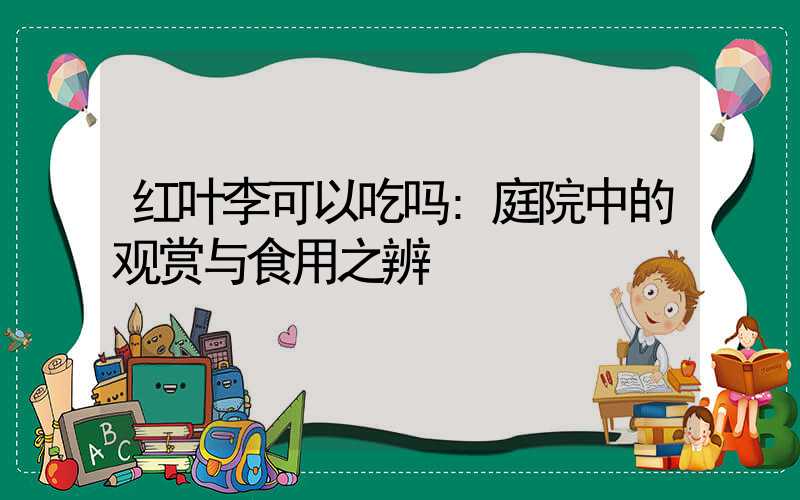 红叶李可以吃吗:庭院中的观赏与食用之辨