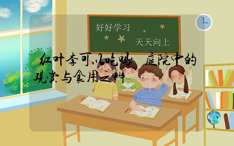 红叶李可以吃吗：庭院中的观赏与食用之辨