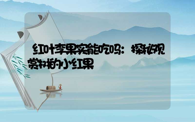 红叶李果实能吃吗：探秘观赏树的小红果