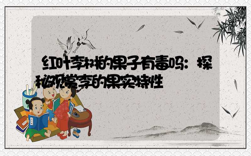 红叶李树的果子有毒吗：探秘观赏李的果实特性