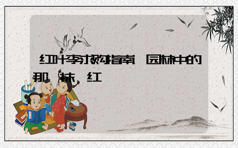 红叶李求购指南:园林中的那一抹绯红