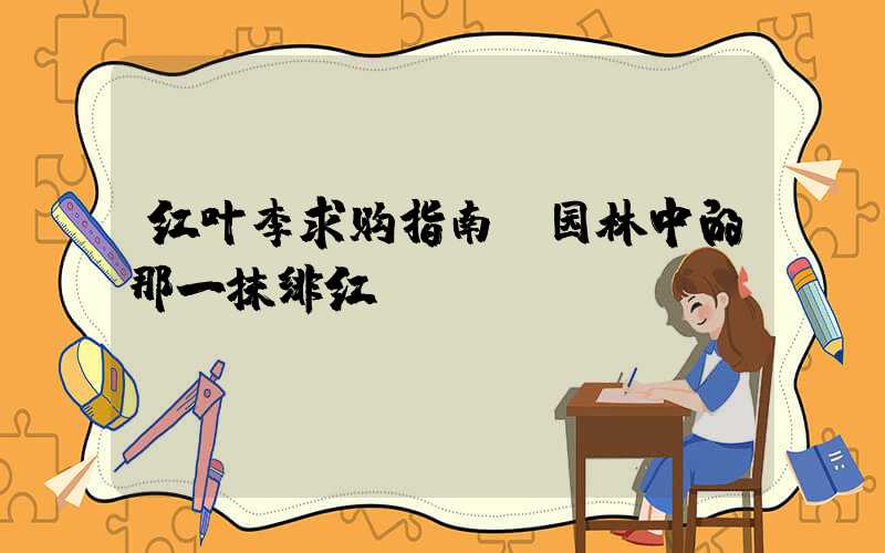 红叶李求购指南：园林中的那一抹绯红
