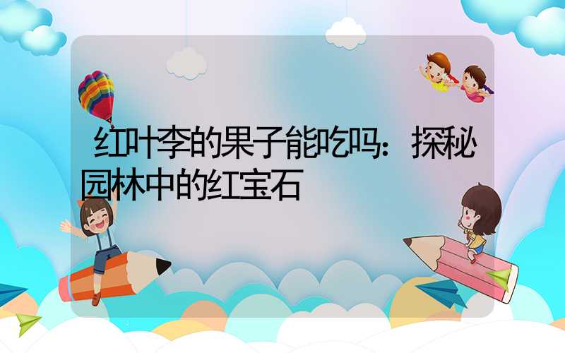 红叶李的果子能吃吗：探秘园林中的红宝石