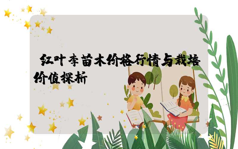 红叶李苗木价格行情与栽培价值探析