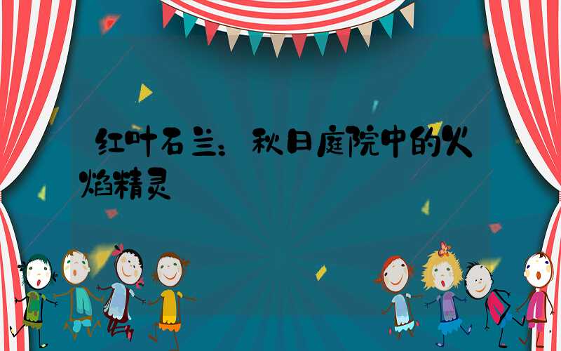 红叶石兰：秋日庭院中的火焰精灵