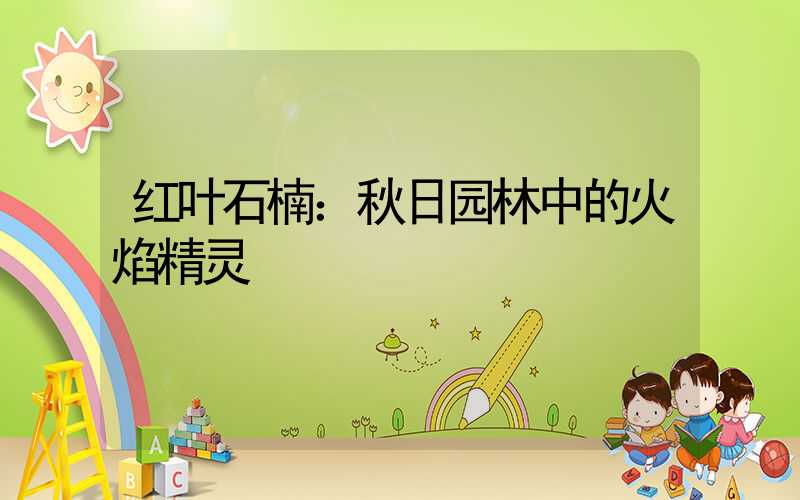 红叶石楠：秋日园林中的火焰精灵