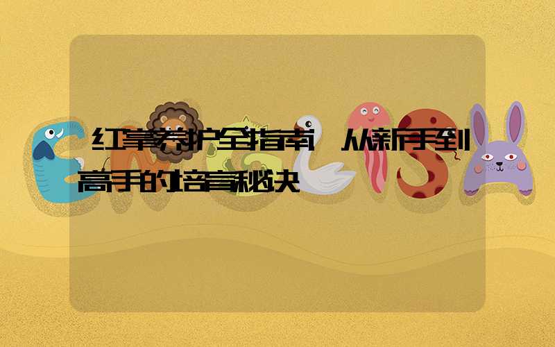 红掌养护全指南:从新手到高手的培育秘诀