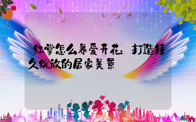 红掌怎么养爱开花：打造持久绽放的居家美景