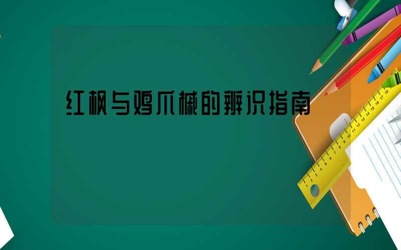 红枫与鸡爪槭的辨识指南