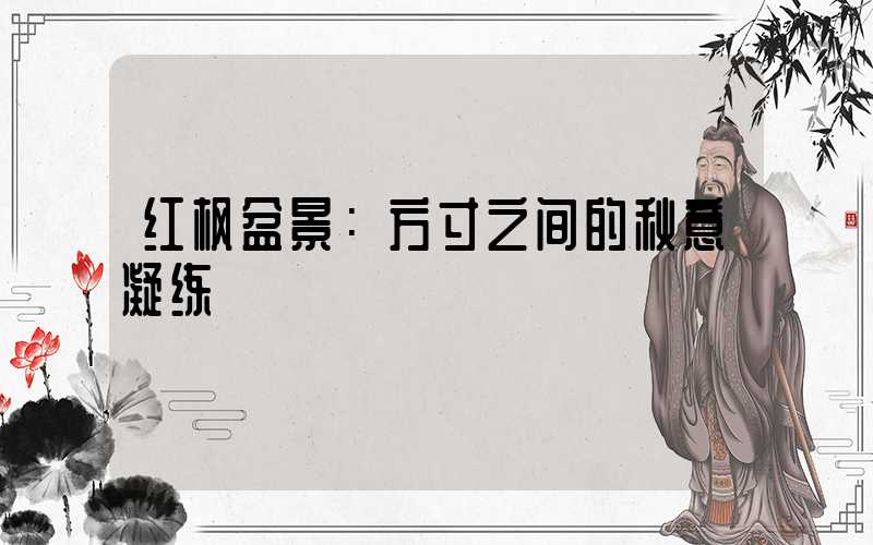 红枫盆景：方寸之间的秋意凝练