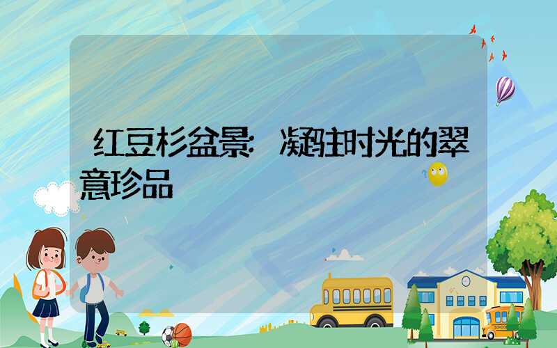 红豆杉盆景:凝驻时光的翠意珍品