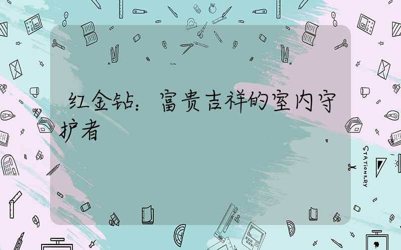 红金钻：富贵吉祥的室内守护者