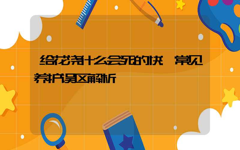 给花浇什么会死的快:常见养护误区解析