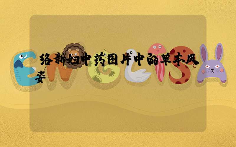 络新妇中药图片中的草本风姿