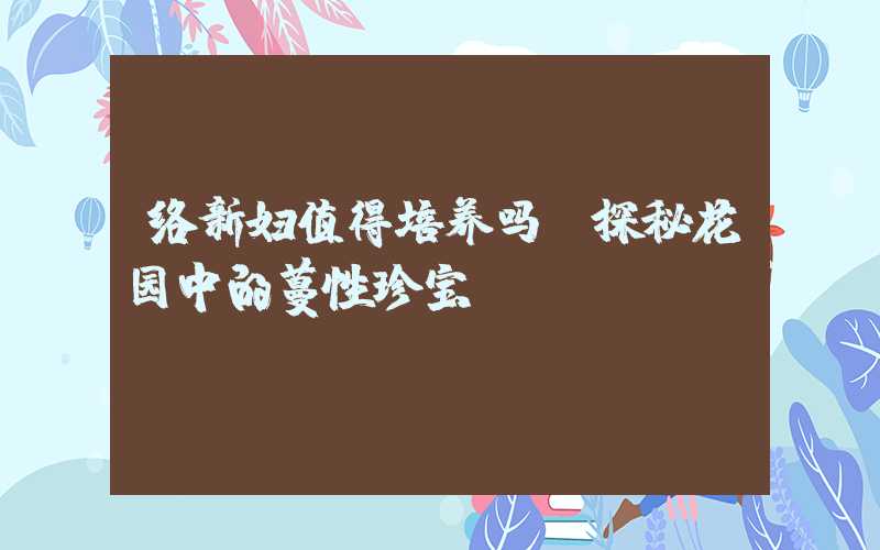 络新妇值得培养吗？探秘花园中的蔓性珍宝