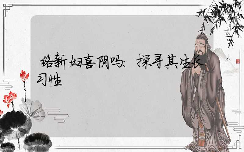 络新妇喜阴吗:探寻其生长习性