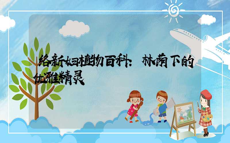 络新妇植物百科:林荫下的优雅精灵