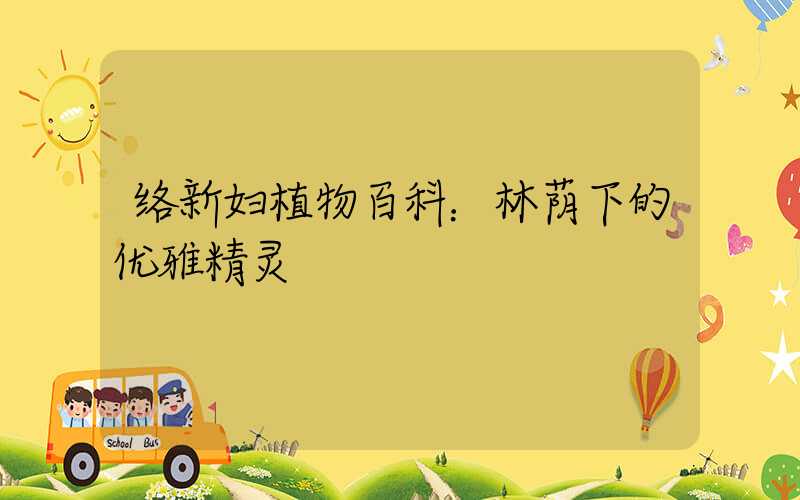 络新妇植物百科：林荫下的优雅精灵