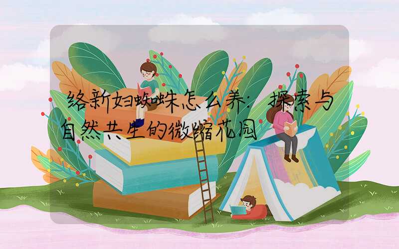 络新妇蜘蛛怎么养:探索与自然共生的微缩花园
