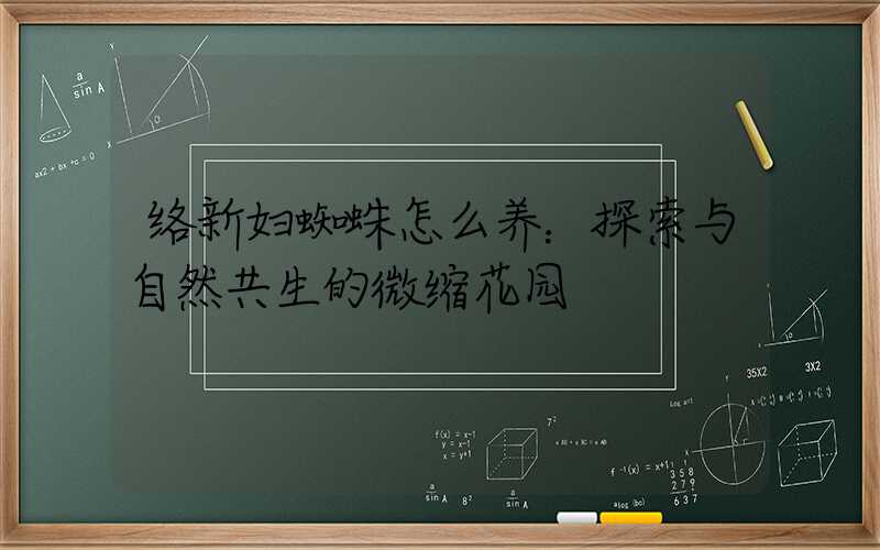 络新妇蜘蛛怎么养：探索与自然共生的微缩花园